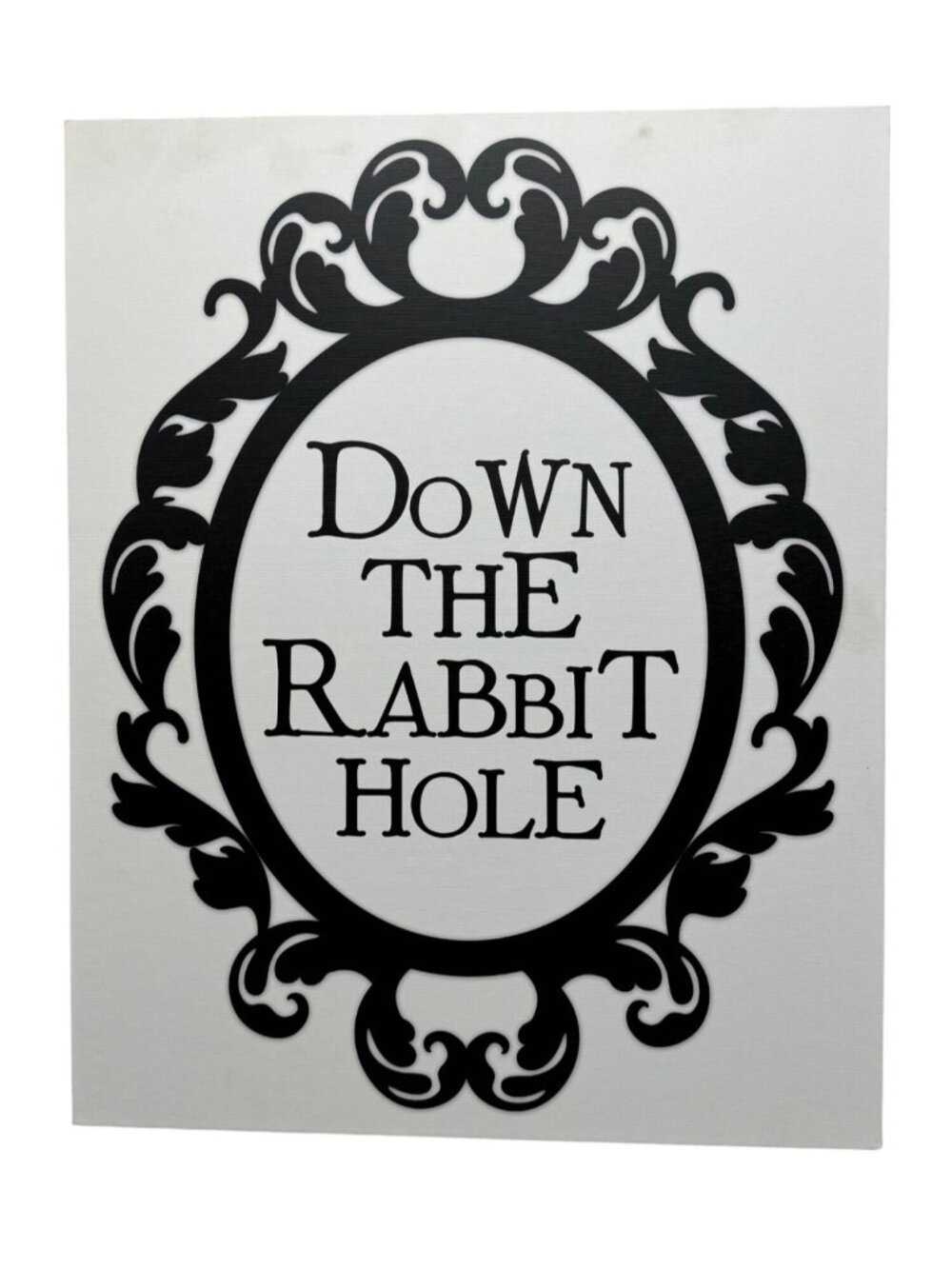 Down The Rabbit Hole Black & White Decorative Wall Art 20x16"canvas READ NEW
